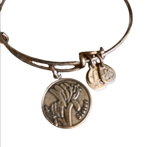 Alex and Ani Sister Charm Bangle Gold Tone - Picture 1 of 4